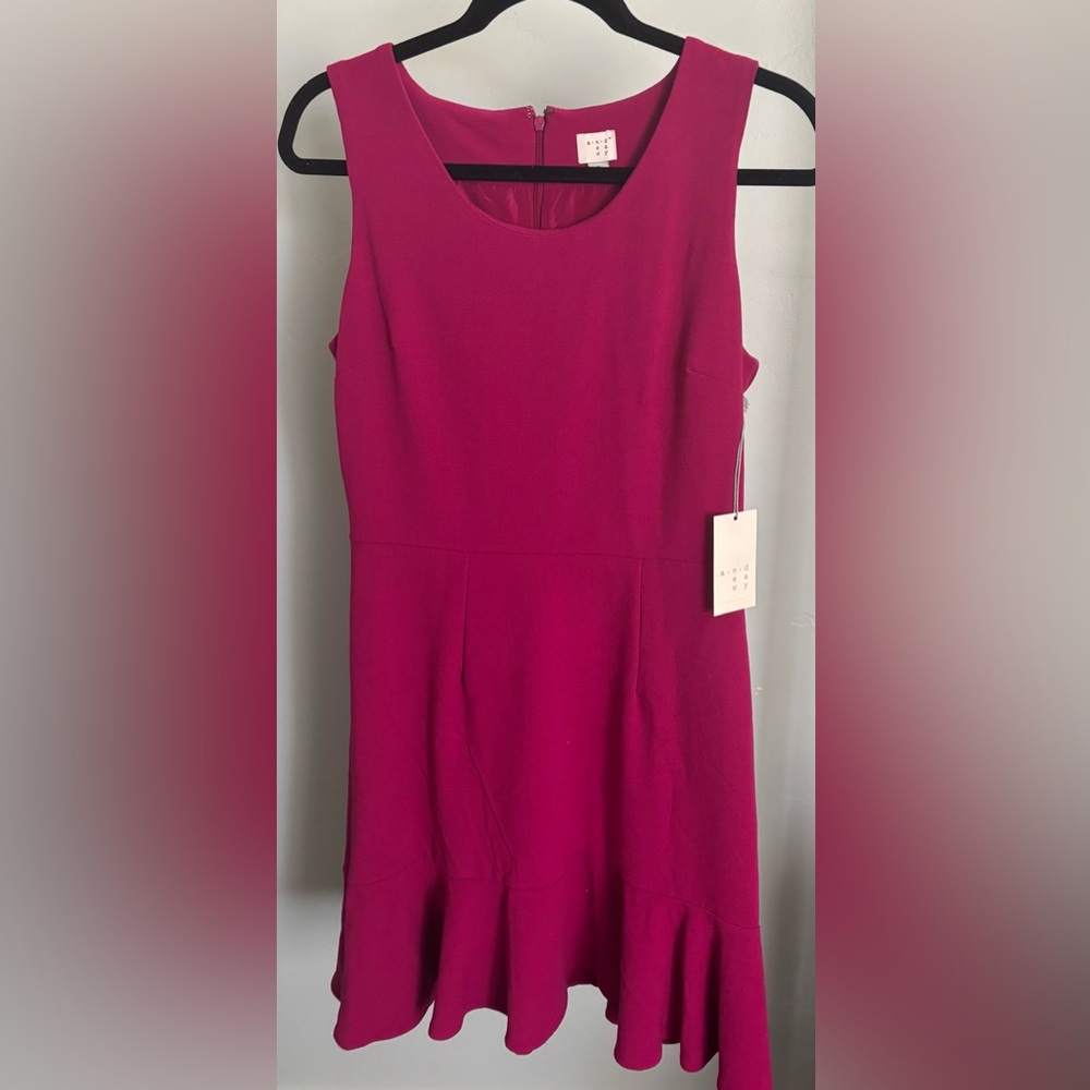 New with tags Raspberry slim dress